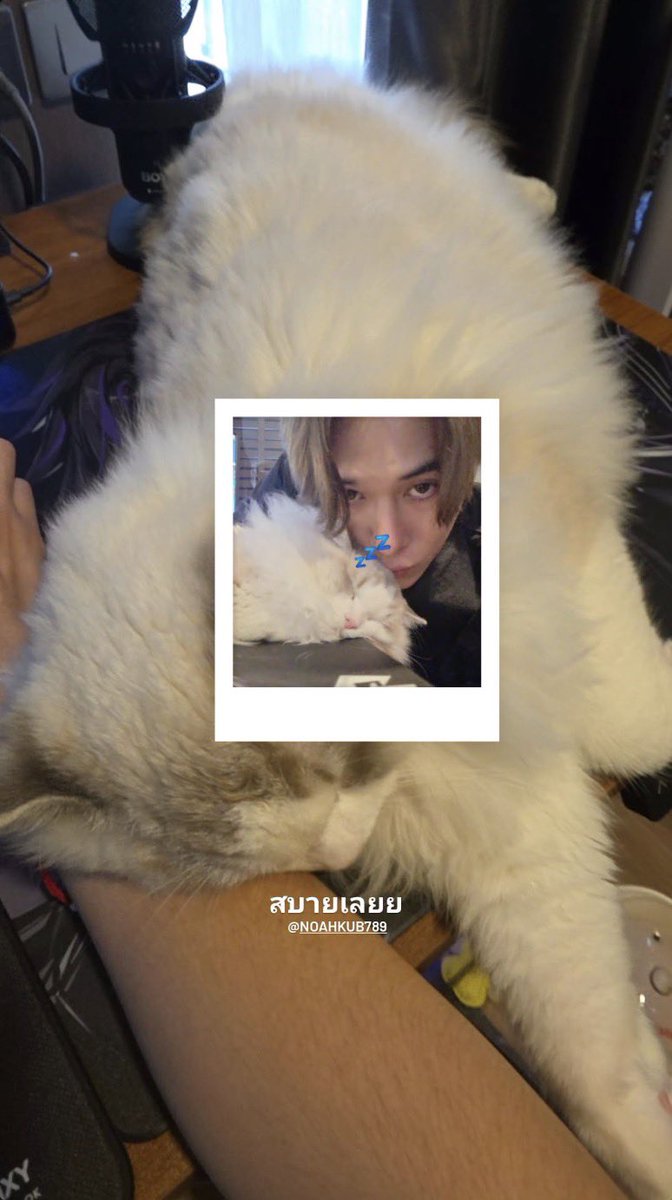 Nammon5_1's tweet photo. ขอคนเข้าใจ🙂‍↕️ https://t.co/FH8rMl8KBd