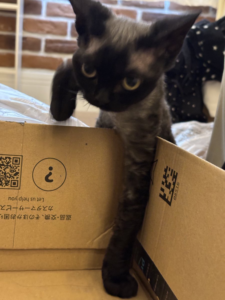 yoru_devon_rex's tweet photo. 話は聞かせてもらった！！ https://t.co/xNG0HuIC1o