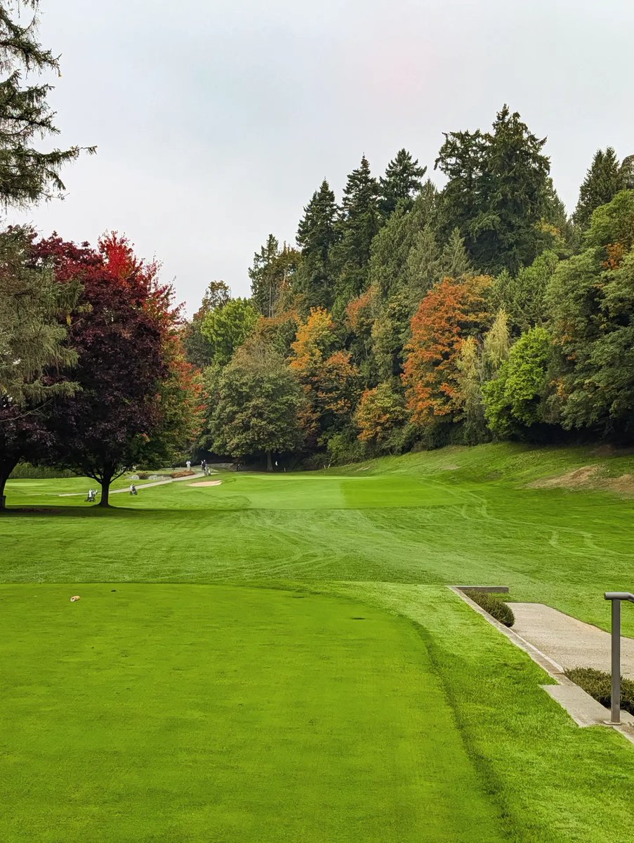 franksgolfing's tweet photo. Some golf courses need to be seen to appreciate their greatness. The Macan @MDGC1922 is one of them. For me, it's a top 10 routing in Canada. It has all the elements of a great club &amp; great golf course. Astonishingly, it's sub-100 acres. Impressed with every part of Marine Drive. https://t.co/xunnoiblCy