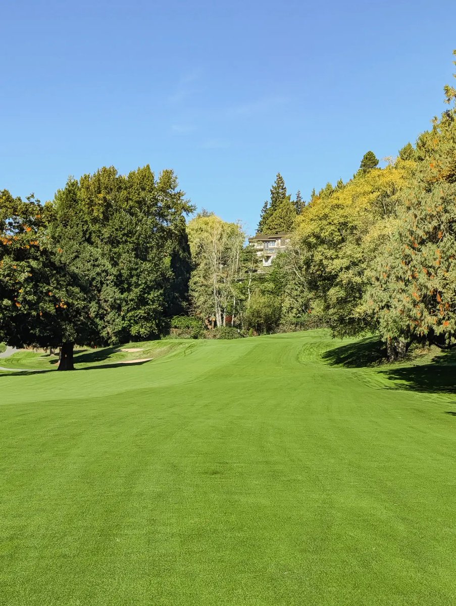 franksgolfing's tweet photo. Some golf courses need to be seen to appreciate their greatness. The Macan @MDGC1922 is one of them. For me, it's a top 10 routing in Canada. It has all the elements of a great club &amp; great golf course. Astonishingly, it's sub-100 acres. Impressed with every part of Marine Drive. https://t.co/xunnoiblCy