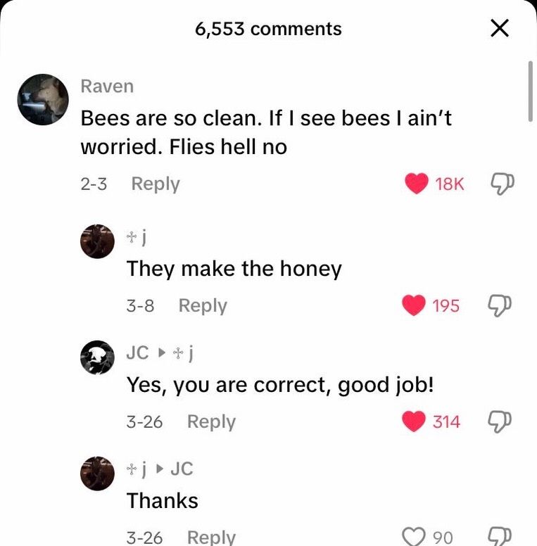 nocontextmemes's tweet photo. https://t.co/8QFyJ1lG8O