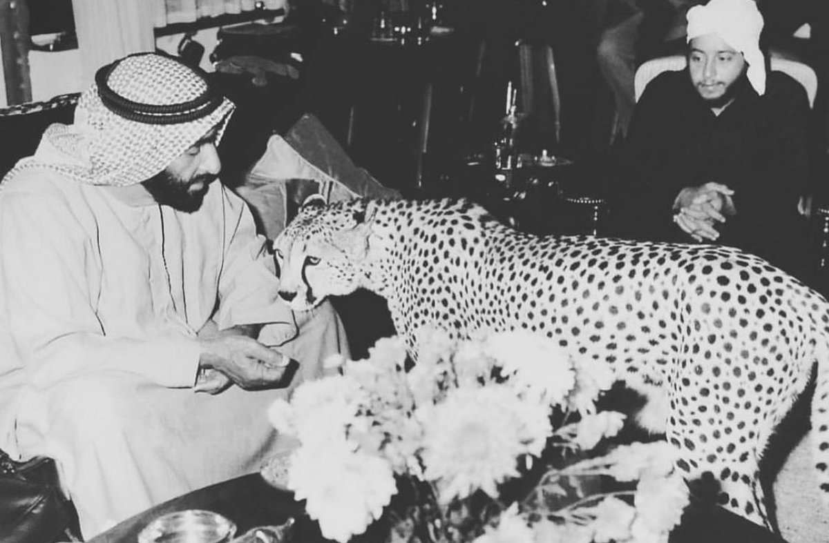 io3ee's tweet photo. محشوم يا ابويه محشوم عن كل قاصي وداني. https://t.co/I8Hgoe2Dai