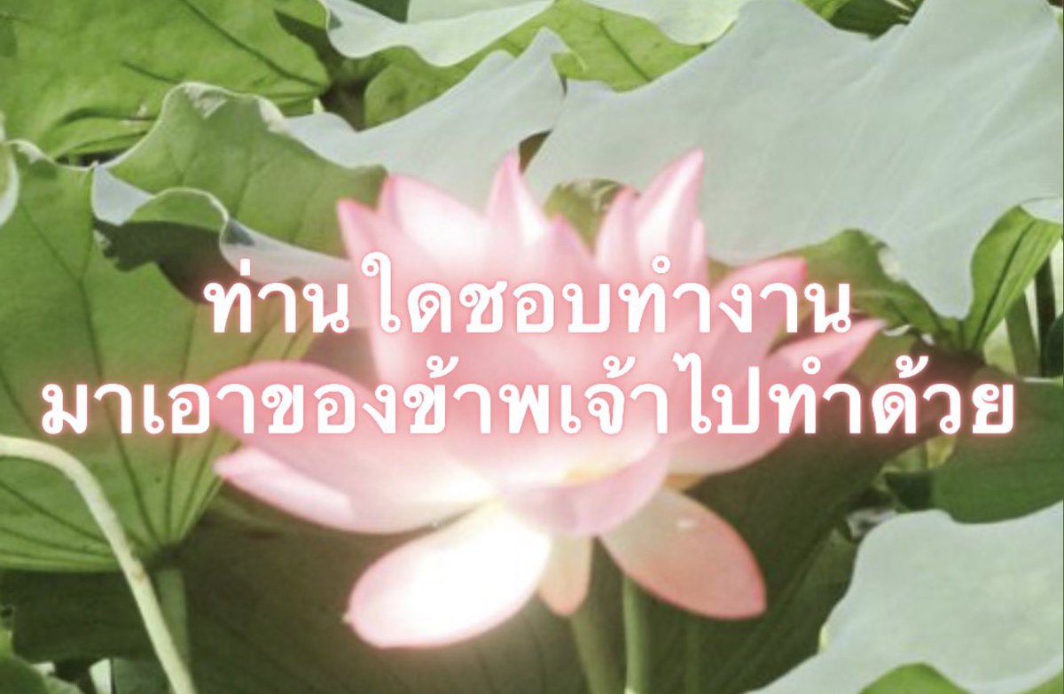 Iaunza's tweet photo. https://t.co/IEFvwuNXvB