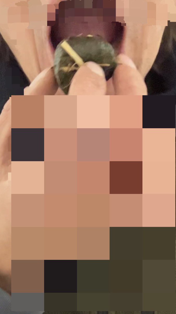 YardToilet's tweet photo. Das Stallekeltraining beginnt mit @Reiterin2000 und frischen Pferdeknödeln. Mein Drecksau Maul ist für Pferdemist. https://t.co/MUgZ8ymPsT