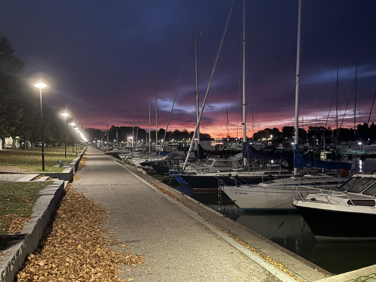 GadgetMonkey7's tweet photo. Today I went for a walk from around 6 :30 in the morning until almost 8 🚶‍♂️🚶‍♂️🌅

The sun is rising later and later now, and when I walked down toward the sea, the morning sky was really beautiful 🌊✨

I slept in a bad position and woke up with a sore neck 😅 My arm has also been hurting for quite a while, so I really want to do something about it. I went to the hospital and have been doing the stretching exercises they gave me, but it hasn’t improved much yet.

Anyway, today I’ll just keep going, one thing at a time 🚶‍♂️

Tänään kävin kävelyllä noin aamukuudesta melkein kahdeksaan asti 🚶‍♂️🌅

Aurinko nousee nykyään koko ajan myöhemmin, ja kun kävelin meren suuntaan, aamurusko oli todella kaunis 🌊✨

Nukuin jotenkin huonossa asennossa ja nyt niska on kipeä 😅 Myös käsivarteni on ollut jo pitkään kipeä, joten haluaisin saada sen jotenkin kuntoon. Kävin sairaalassa ja olen tehnyt saamiani venyttelyharjoituksia, mutta ne eivät ole vielä auttaneet kovin hyvin.

Tänäänkin mennään taas yksi asia kerrallaan 🚶‍♂️