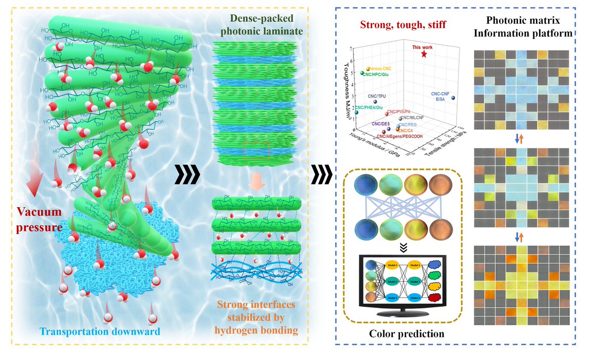 SciOpenTUP's tweet photo. Stacking cellulose nanocrystals with nanofibers creates laminates that are strong, tough and stiff, with tunable colours for encoding and security applications.
Explore this study: https://t.co/xnlyIg5Xwh
#SciOpen #TUP #Nano #science @Tsinghua_Uni https://t.co/VTxuT8z3jK