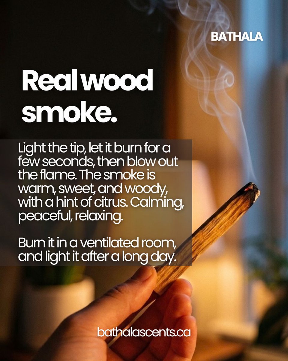 BathalaScents's tweet photo. Is it real Palo Santo, or just scented wood? Real grain. Real bark edge. No two sticks match. Warm, sweet, woody smoke for slowing down after a long day. Ask us where it comes from. Find it in-store in Winnipeg or online.

 #bathalascents #LocalWinnipeg #WinnipegWellness https://t.co/OPGtz7PD4l