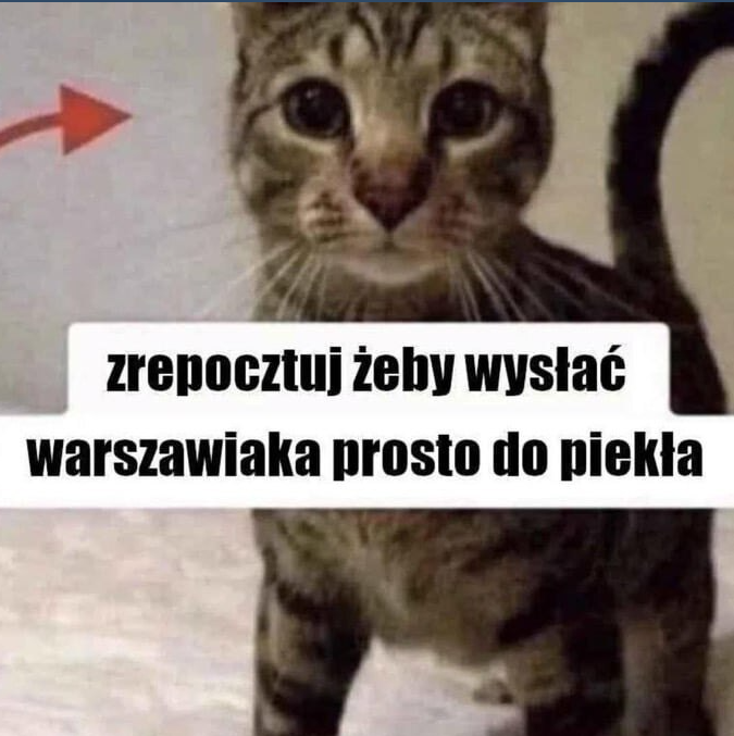 patiensxd's tweet photo. @itsnotmel34 ja już zrepocztowałam https://t.co/3zaqBJSe24