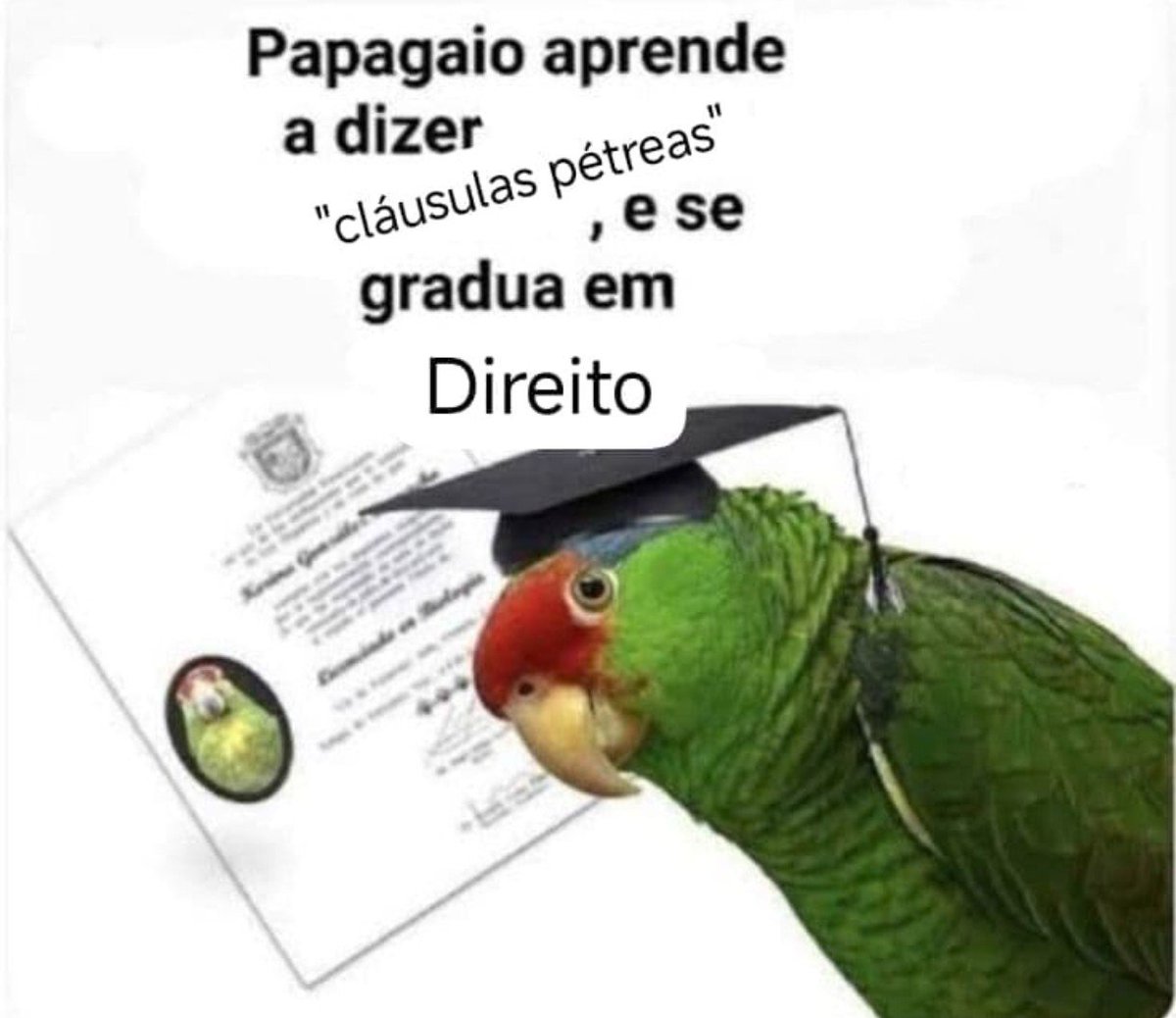 vivaldojr09's tweet photo. @studysdatori https://t.co/AifjlvhVJk