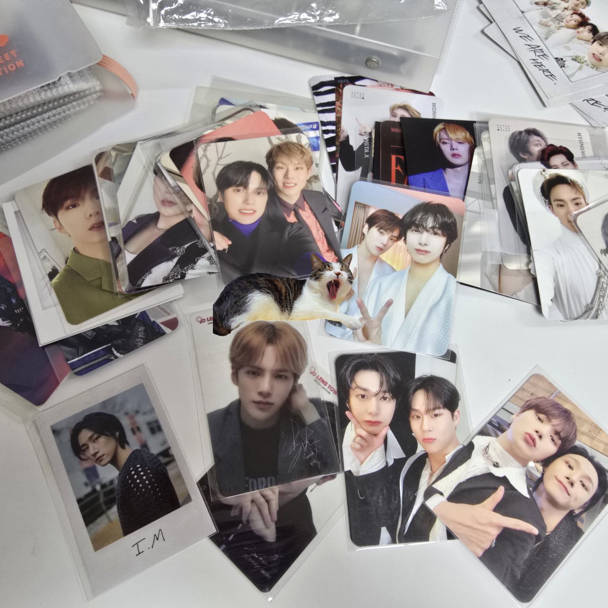 __H__H_H_'s tweet photo. 대충 참고용

예전 렌즈타운 포카도 있음
#몬스타엑스 #몬엑포카 #셔누 #민혁 #기현 #형원 #주헌 #창균 #포카 #monstax #shownu #minhyuk #kihyun #hyungwon #Joohun #IM
#PC https://t.co/VmHwjz1ams