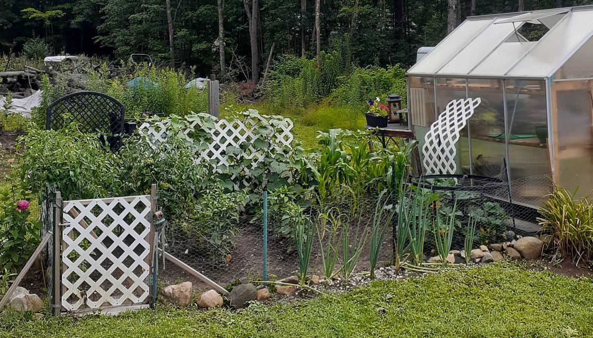 BerkshireGirl71's tweet photo. @Andie00471 I had a horrible season here in Western MA. 30 degrees in may....rained most of June and now eaves are almost gone. My flowers did well though. Sad to see th all go. #winteriscoming https://t.co/83bnWghJ6a