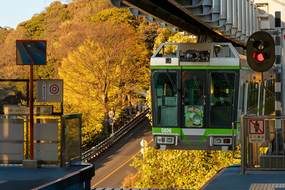 sora_de_bra_n's tweet photo. ／
 10月14日は「#鉄道の日」
＼

1872年10月14日新橋～横浜間に日本で最初の鉄道が開通しました🛤️
写真は湘南モノレールと紅葉🍂🚟🍁 https://t.co/HkDU0C7bh4