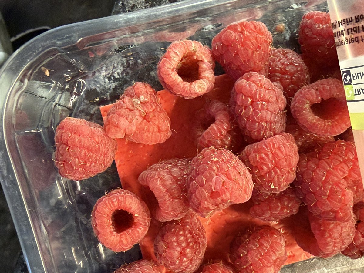 shaftzh's tweet photo. @LidlGB I bought these from your store and less than 24 hours later they were mouldy. https://t.co/Fvgl5Ui2pU