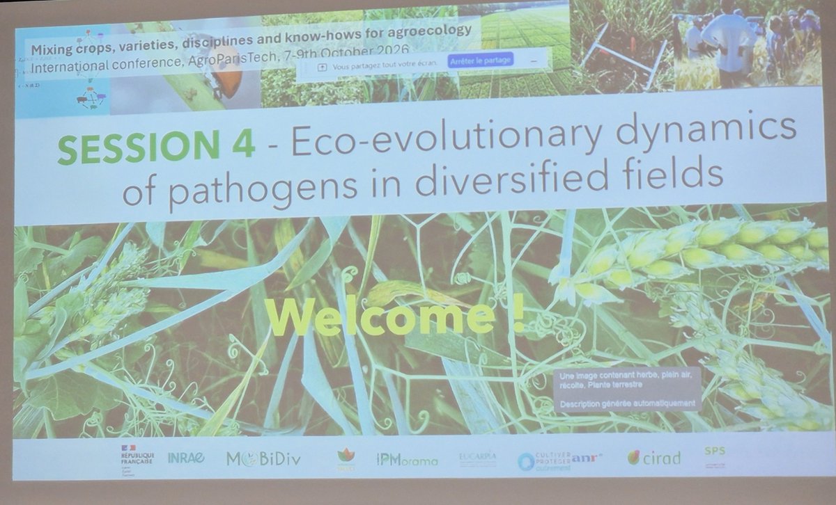 wheatpath's tweet photo. Now starting Session 4, “Eco-evolutionary dynamics of pathogens in diversified fields” at #Mix4Agroecology, introduced by Tiphaine Vidal #BIOGER @INRAE_DPT_SPE. https://t.co/QP1OoERxP3