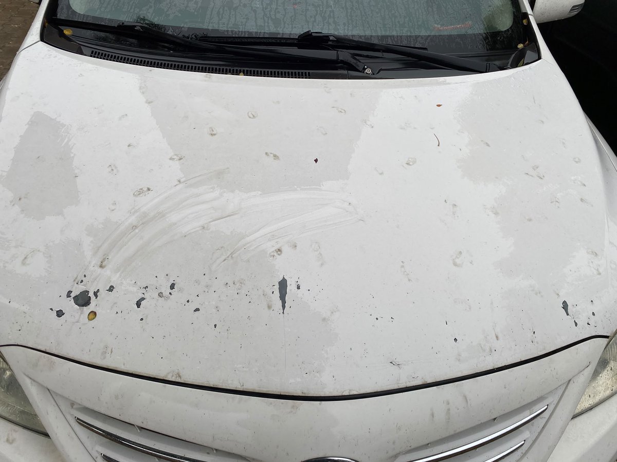 gokhandag68's tweet photo. @Toyota_Turkiye 2011 Toyota Corolla aracımda boya atması var. Yetkili servis 16.04.2024’te“Araç komple boyanması gerekiyor” diye kayıt tuttu. Tavan boyandı, diğer bölgeler bırakıldı. Sorun sürüyor.Bugün benim aracımda başka Toyota’larda olabilir. Yeni sahipler de mağdur olabilir. @Toyota_Turkiye https://t.co/QKChPrMw1N
