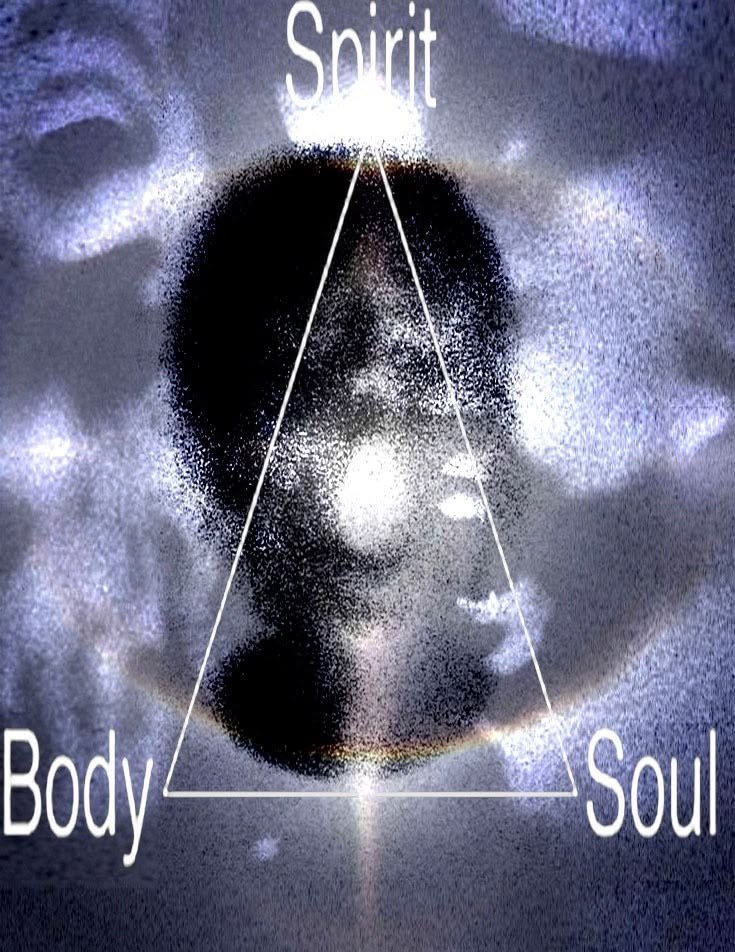 trian9les's tweet photo. rooted below, reach above, grounded within. 

coming soon, this oct. https://t.co/reZzNrvwHs