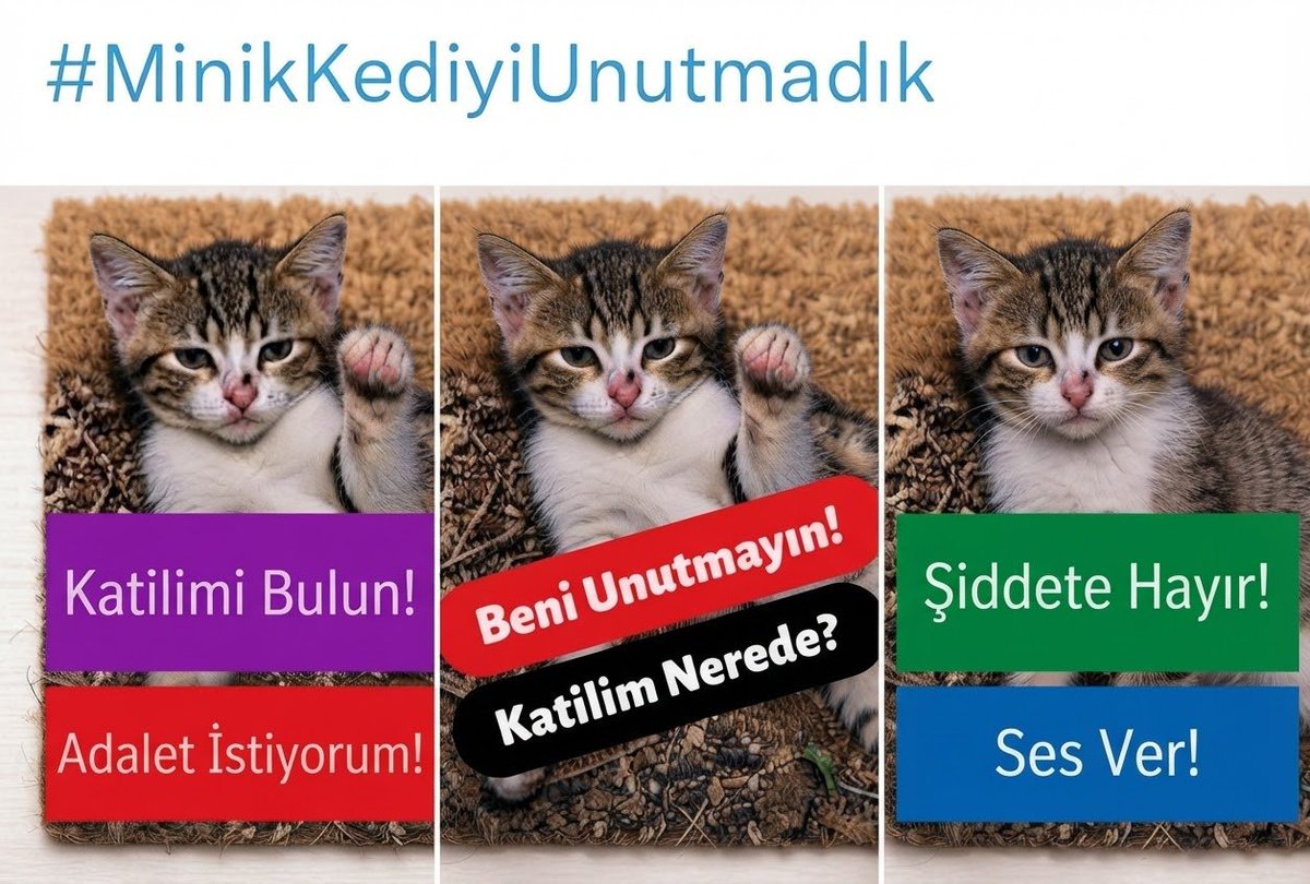 KopruluHat87739's tweet photo. Türkiye Cumhuriyeti bir Hukuk devletidir 🇹🇷

Ama ne yazık ki, Adalet için,
Katledilen Masum Minik Yavru Kedinin Katilini hâlâ BULAMADILAR‼️

🇹🇷⚖️🇹🇷
#KatliamVar
#YaşamHakkı
#Minikiçinadalet 
#Adaletİstiyoruz
#CanlarınHesabıSorulsun
#Yavrukediiçinhesapvakti
#MinikKediyiUnutmadık https://t.co/Jyr5GGGANy