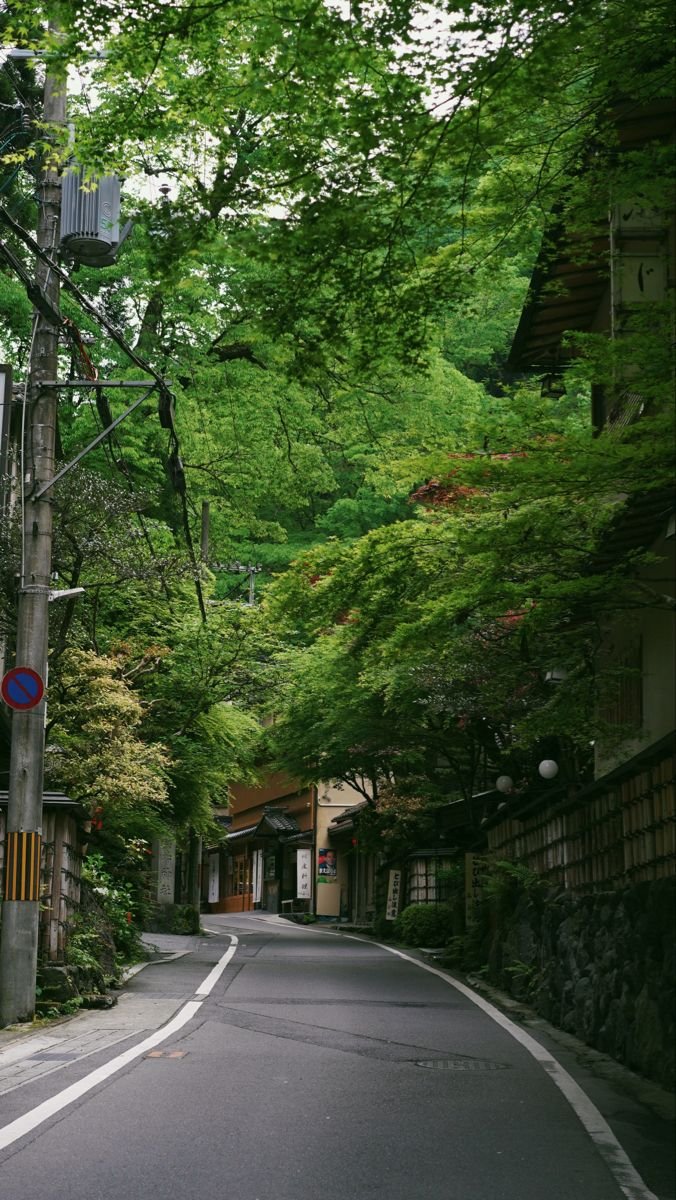 echoesofworld's tweet photo. Kyoto, Japan https://t.co/9RM2npbQaY