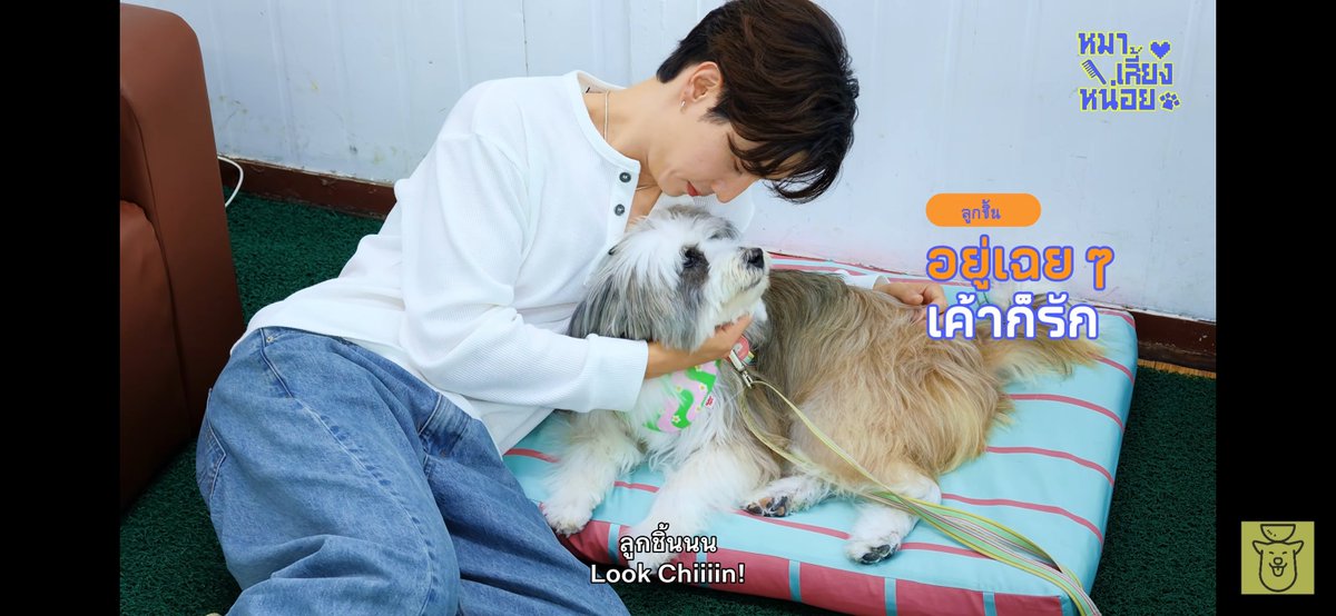 ABBIE_287's tweet photo. ลูกชิ้นชนะหว่ะงานนี้

Gluta Story x Mark Tuan 

#MarkTuan https://t.co/H03cILzg0W