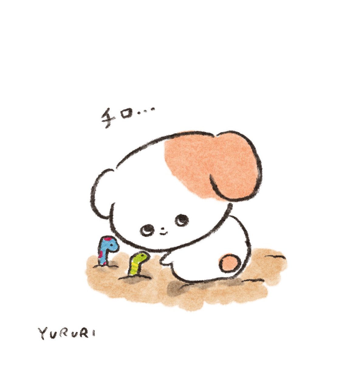 yurunicori's tweet photo. チロり https://t.co/qQzx42B9Ym