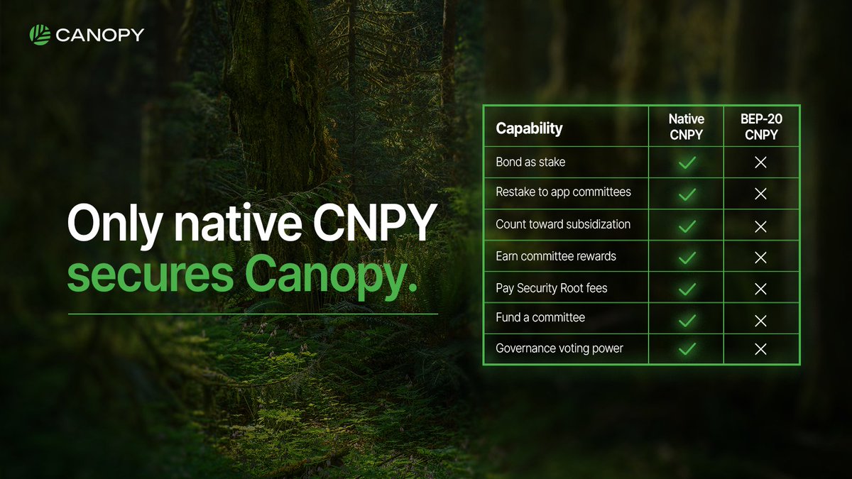 CNPYNetwork's tweet photo. Your CNPY on BSC can be traded. That's all it can do.

It can't stake, restake, earn committee rewards, pay fees or vote.

Every app on Canopy is secured only by bonded native CNPY. Where you hold decides how much collateral backs the network.

Bring it home ��� Unwrap at https://t.co/eF9QiToAky