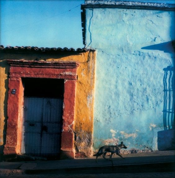 eyeonaxis's tweet photo. The colors of Oaxaca, México, 1980, by William Albert Allard https://t.co/oI1ufiw8My
