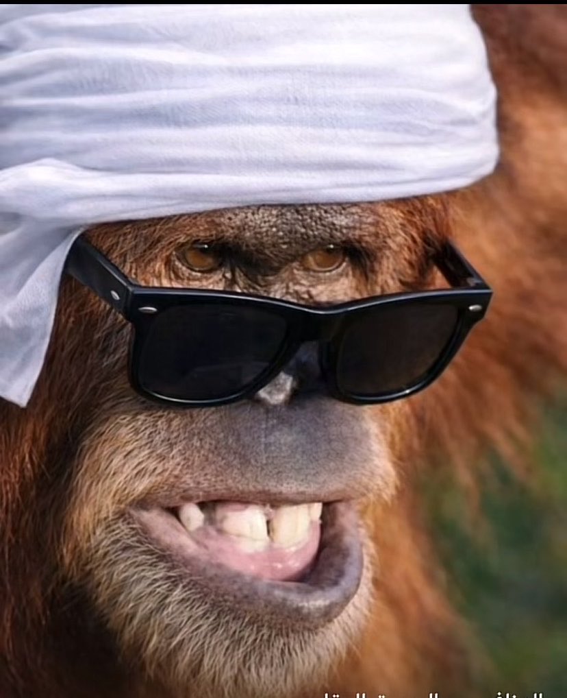 RolerAziz's tweet photo. @msbmyll أنا عندي اقتراح نزيد عدد عيادات الليزر بالحمارات لانه بناتهم مشعرين وريحتهم صنان يععععع ويشبهون عيالهم https://t.co/zML7FQlJ0m