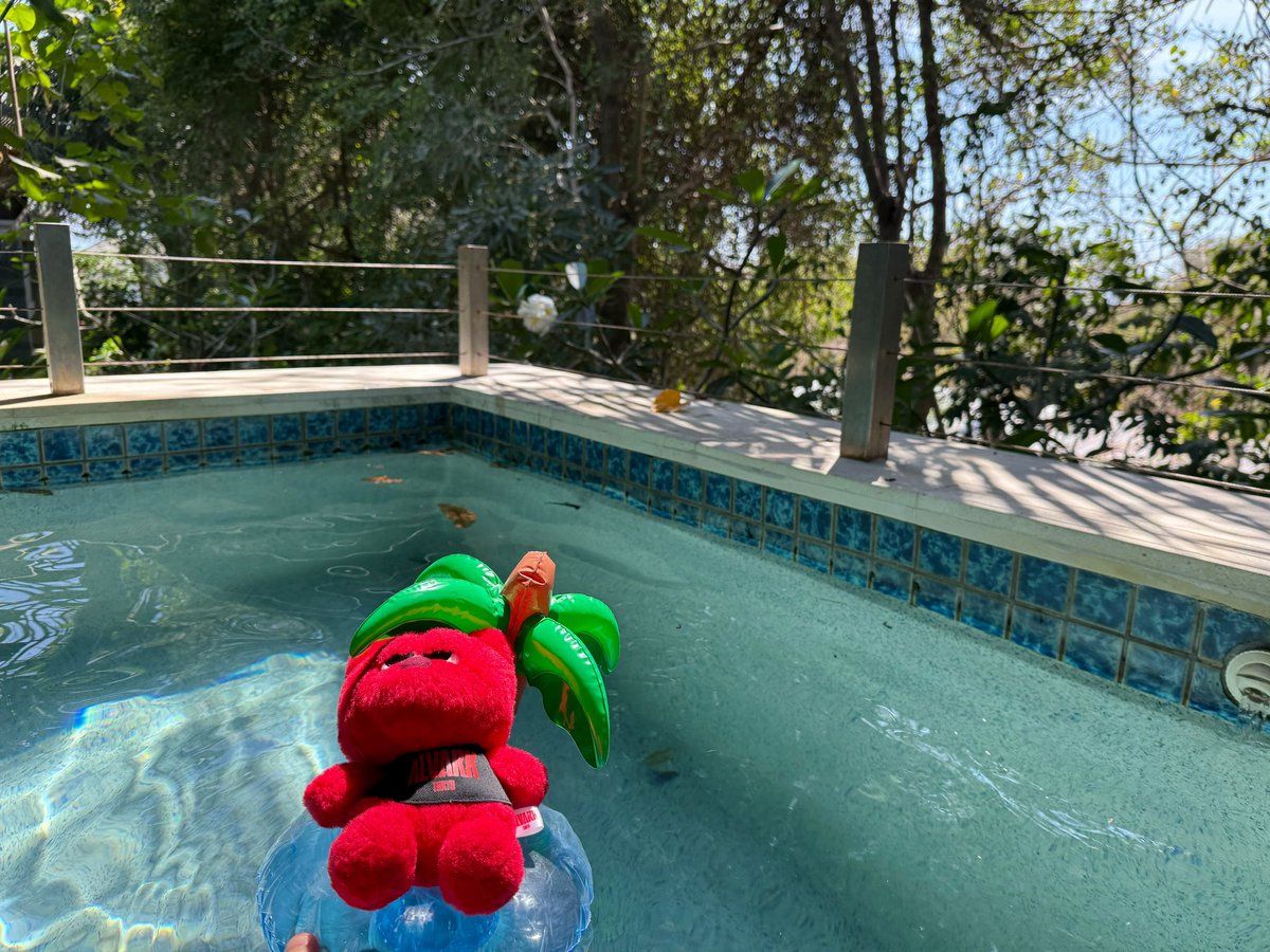 oniku0530's tweet photo. 新婚旅行第一弾でバリに1週間泊まってた
専用プールとホテルのメインプールで泳ぎすぎて黒焦げ。毎日プールのエアロビクスとかアクティビティ参加して超たのしかった。次は第二弾、二月のハワイ！ https://t.co/4R89arcOJK