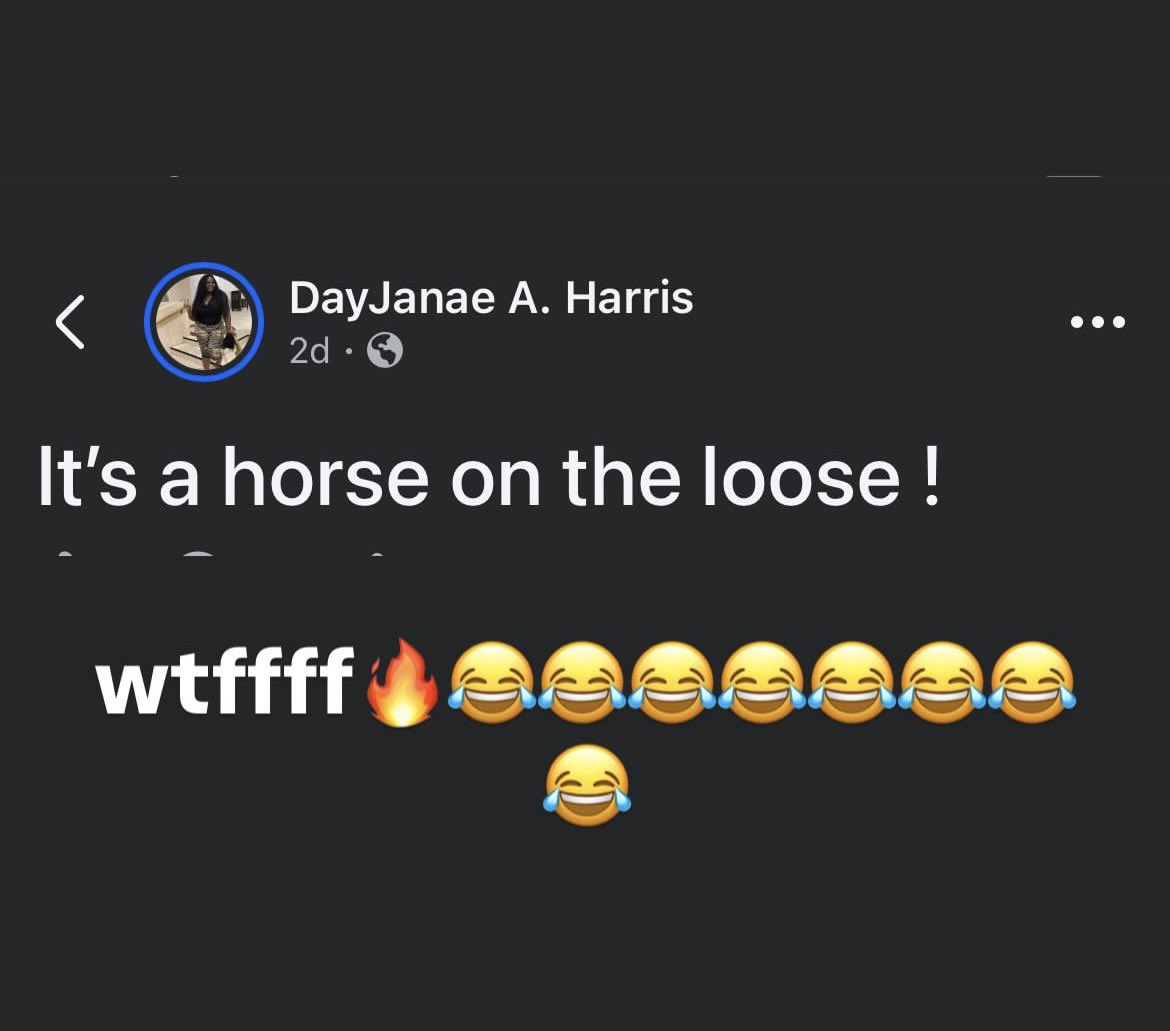 idk_hidden's tweet photo. I’m on the loose🙂‍↔️ https://t.co/VEx41fllQt