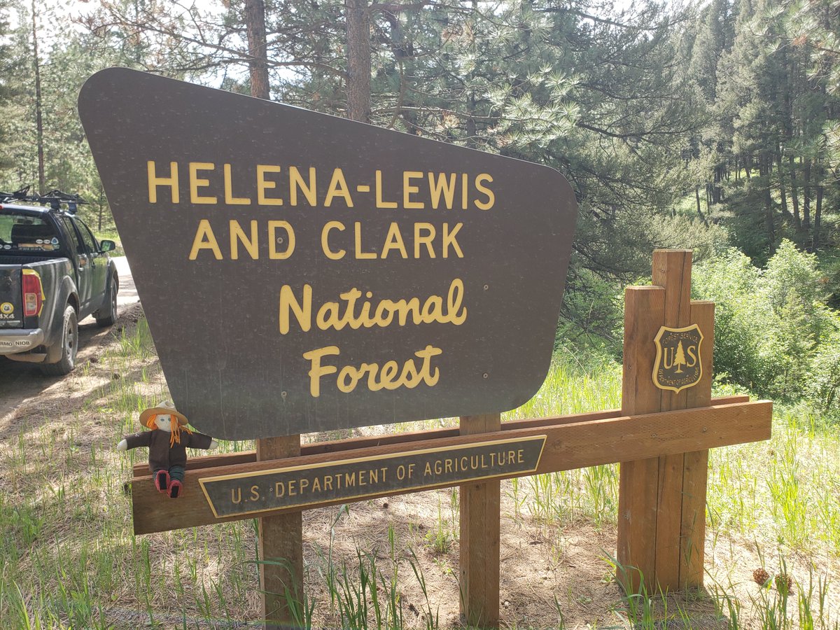 RangerSarahAdv's tweet photo. Ranger Sarah has entered the Helena-Lewis & Clark National Forest.
#hikingadventures #hike #hiking #explore #Montana #hikemontana #adventuresofrangersarah #rangersarah #ExploreMontana #ExploreMore #NationalForests https://t.co/nn85B5XfeS