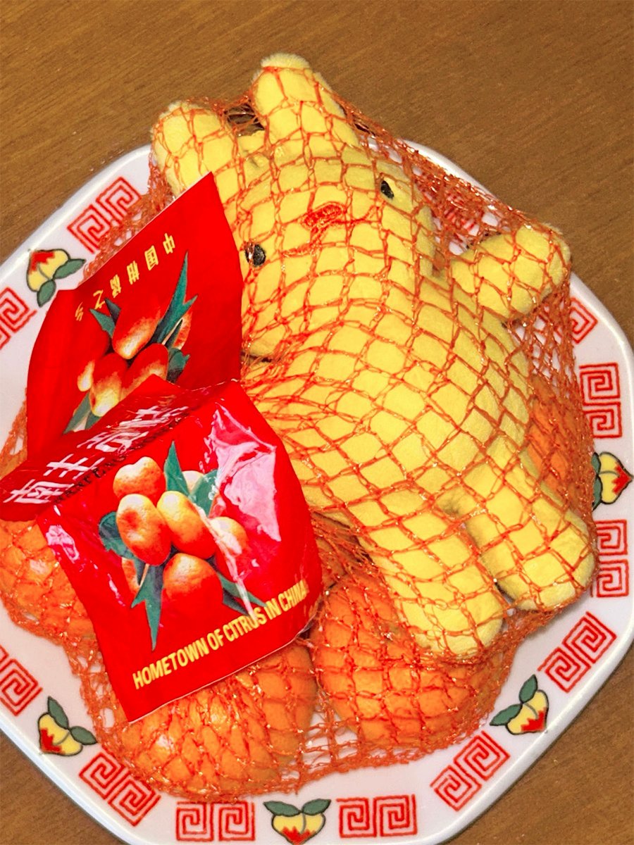 habunnyart's tweet photo. ZWERTE 🍊 — you’re da zest.ᐟ 👍

dyk 💭 the kiat-kiat (桔) originated in china ? it was brought to the philippines, becoming a staple in filipino homes. habunny is actually 1/2 kiat-kiat and 1/2 ponkan ! 🧡 https://t.co/qIXP1v8OWB