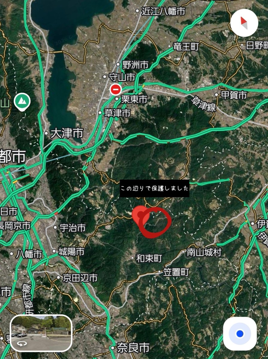 Enif_owo's tweet photo. 【迷子犬・拡散希望】

2026/10/8 18:30頃

京都府和束町湯船の路上にて迷子の犬を保護しました。
木津警察署に届け出済です。
【木津警察署番号：0774-72-0110】

犬種:雑種 　中型　
首輪あり　ネイビー地に赤の十字柄
性別:メス♀
毛色：クリーム・薄茶
性格:臆病
年齢：推定4歳未満
マイクロチップの有無は現在確認中です。

#迷子犬 #拡散希望 #京都府 #和束町 #保護犬 #木津信楽線
