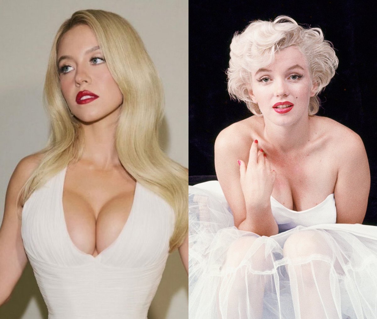 choquei's tweet photo. 🚨CURIOSIDADE: Sydney Sweeney e Marilyn Monroe são parentes. Estudo genealógico aponta que as duas são primas de nono grau, com uma geração de diferença. https://t.co/nB5QzZ68px
