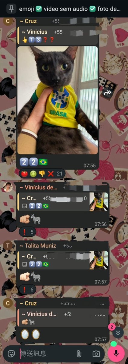 ufocatchu's tweet photo. Chorando que meu gato sem querer começou uma discussão política felina no grupo dos gatos em silêncio https://t.co/QHrCre69S9