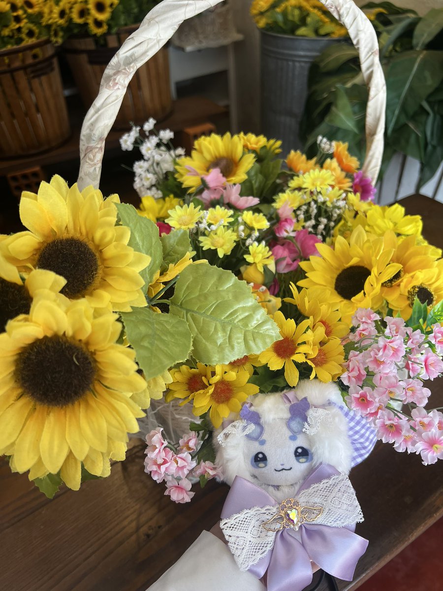 Koooooooo210's tweet photo. これからも一緒にいっぱいお出かけしようね😭🫶

この地に舞い降りてくれてありがとう❣️お誕生日おめでとう🎂
これからもたくさん食べて好きなことができる幸せな日常が過ごせますように💭

#見るんるん
#ちょまと撮ったよ https://t.co/UGR6DKQ3wB