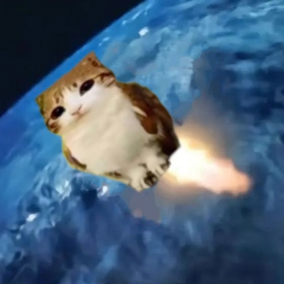 CheerfulMeowl's tweet photo. We need more eyes on this to MIGRATE.

Let’s all stay active and send it to the moon!!! https://t.co/eaaXWb4XBp