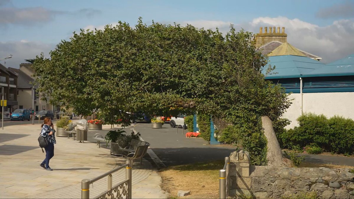 UTVNews's tweet photo. ‘Bendy’ tree in Newcastle wins Tree of the Year contest

The wych elm in the seaside town is the first ever tree in Northern Ireland to be crowned the winner of the Woodland Trust’s annual competition.

Read: https://t.co/Pvmi0Fybmo https://t.co/AjufpRzlrd