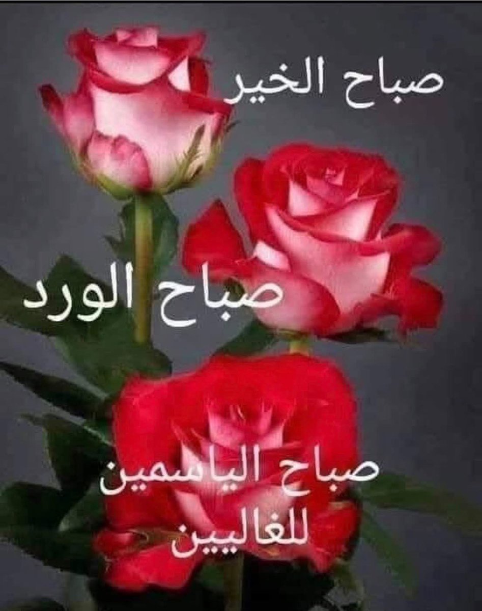AlOmair76088268's tweet photo. @ShrqytSmra https://t.co/641SfNx92l