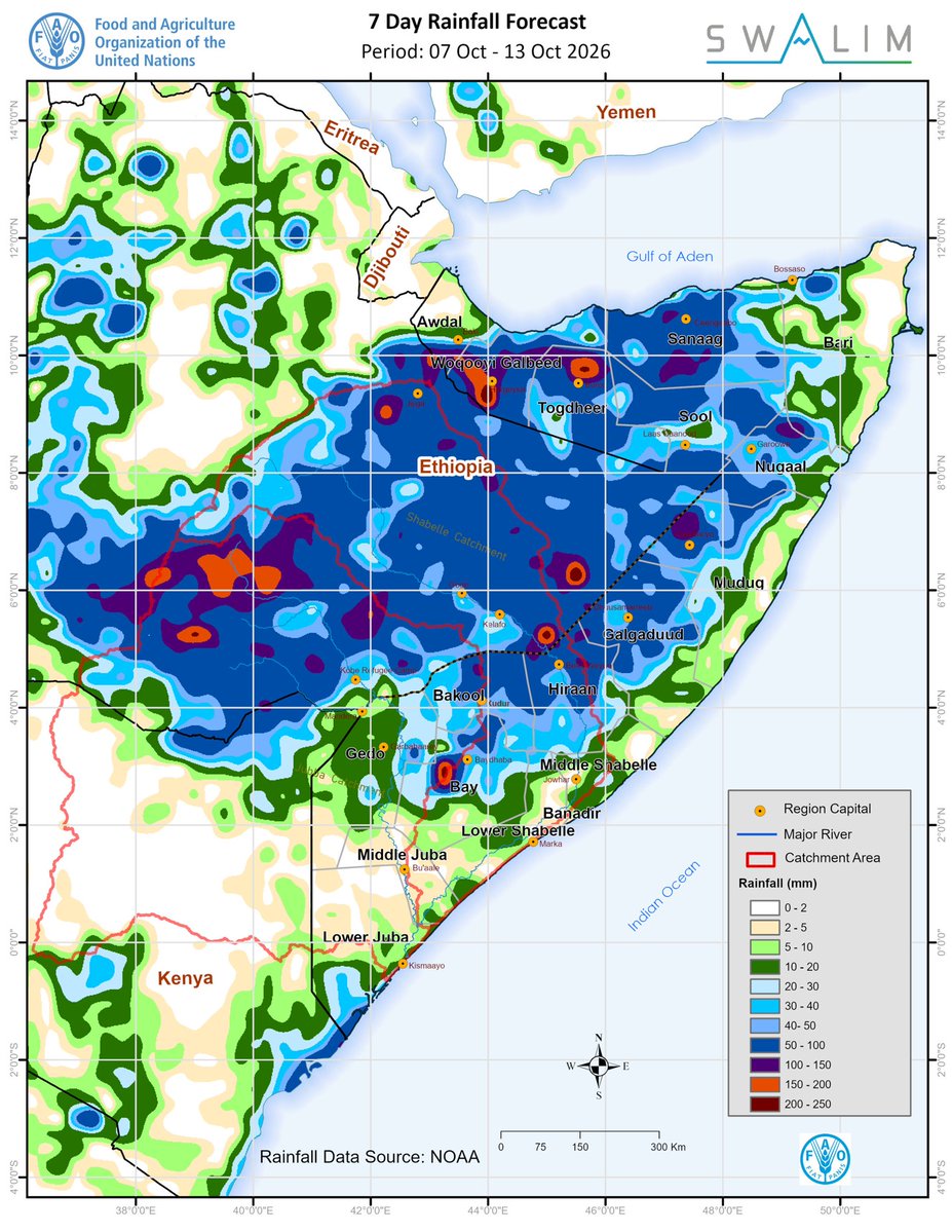 FAOSomalia's tweet photo. #SWALIM Forecast (7–13 Oct): 50–150 mm of rain expected across much of northern &amp; central Somalia, Bay, Bakool &amp; Hiiraan, posing flash flood risk. Shabelle river levels rising rapidly posing moderate flood risk at Jowhar and downstream; Juba remains low.➡️:https://t.co/JCMlzg09FJ https://t.co/o12yOxmJad