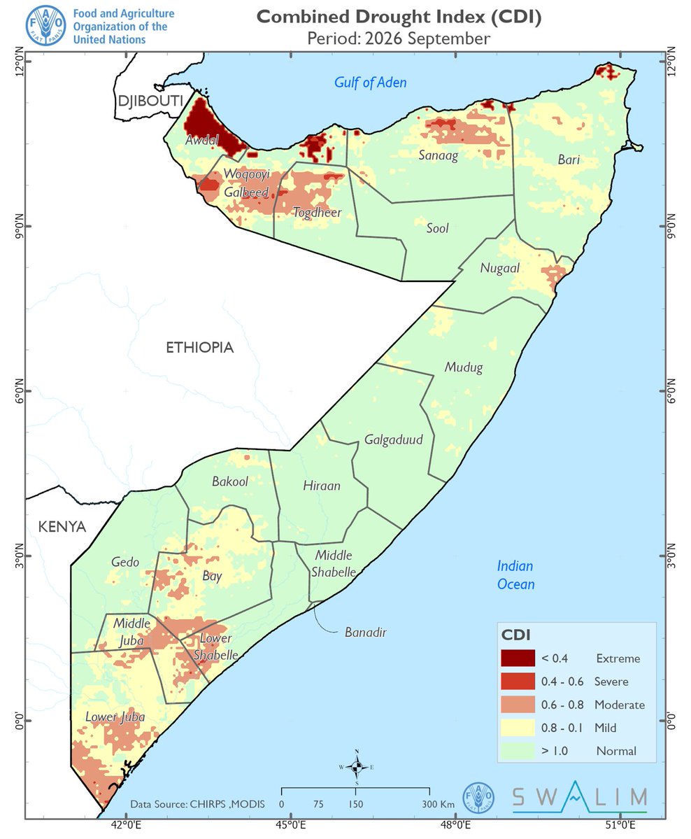FAOSomalia's tweet photo. #SWALIM Forecast (7–13 Oct): 50–150 mm of rain expected across much of northern &amp; central Somalia, Bay, Bakool &amp; Hiiraan, posing flash flood risk. Shabelle river levels rising rapidly posing moderate flood risk at Jowhar and downstream; Juba remains low.➡️:https://t.co/JCMlzg09FJ https://t.co/o12yOxmJad