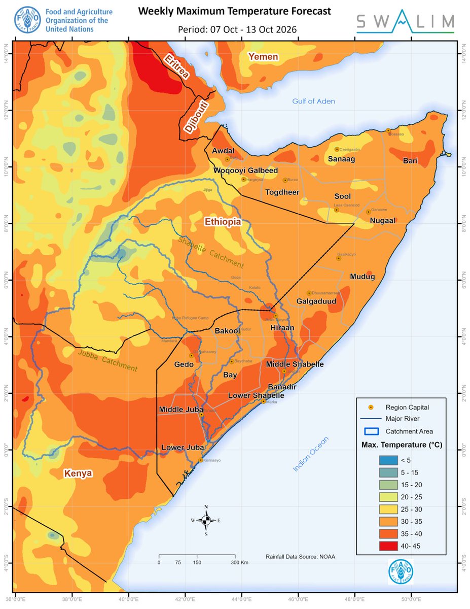 FAOSomalia's tweet photo. #SWALIM Forecast (7–13 Oct): 50–150 mm of rain expected across much of northern &amp; central Somalia, Bay, Bakool &amp; Hiiraan, posing flash flood risk. Shabelle river levels rising rapidly posing moderate flood risk at Jowhar and downstream; Juba remains low.➡️:https://t.co/JCMlzg09FJ https://t.co/o12yOxmJad