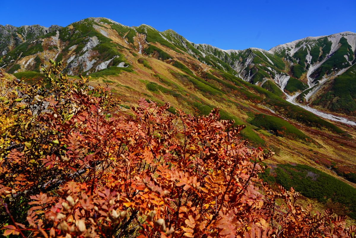 hitomi19600113's tweet photo. 奥大日岳から新室堂乗越への

稜線と立山三山の景色が

綺麗で泣けました🍂🍁

2026.10.8日 https://t.co/zc1CqASu6n
