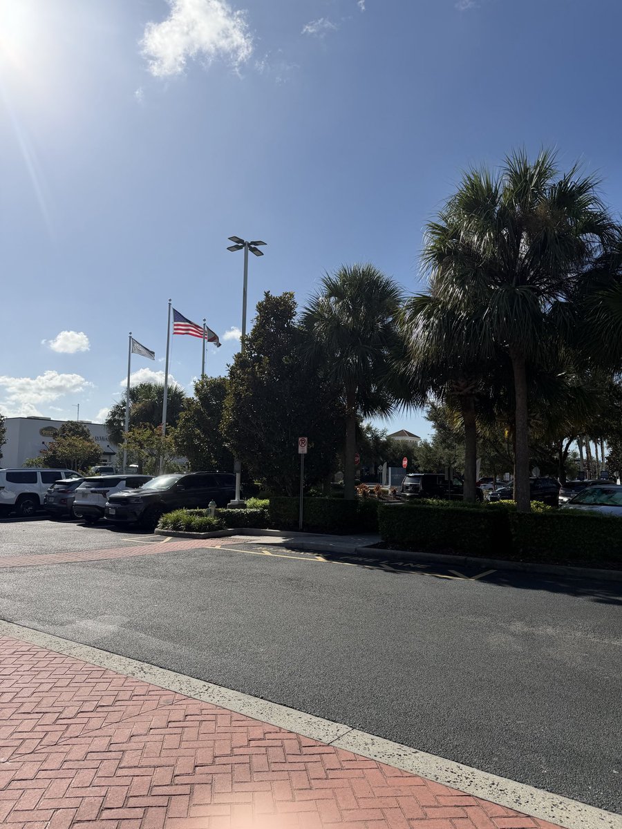 TRH2022's tweet photo. @JeffreyLuscombe Just got back from Florida 10 days ago. Had a great time. I don’t give a shit about your elbows. https://t.co/YYRM6erwNK