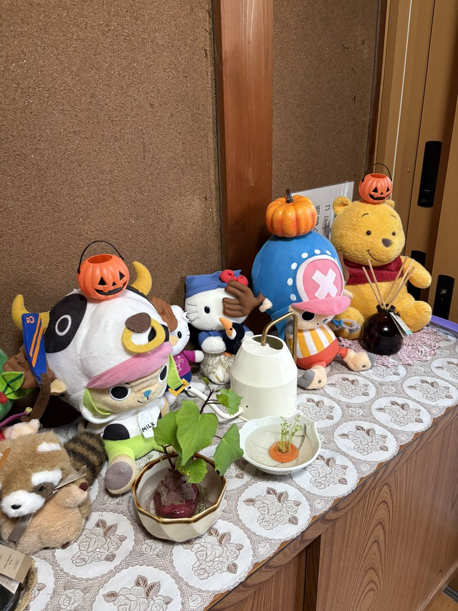 ishikawa_syodo's tweet photo. 生徒と一緒にハロウィンの飾り付けした🎃✨

指示は子どもがして、画鋲が刺さりにくい所だけ私がした。
私がしないような飾り付けになって、良かった🥰✨

ちなみに、1枚目の画像は玄関なんだけど、ぬいぐるみは父が子供達のために用意して並べました😂 https://t.co/12kcHuwHiw