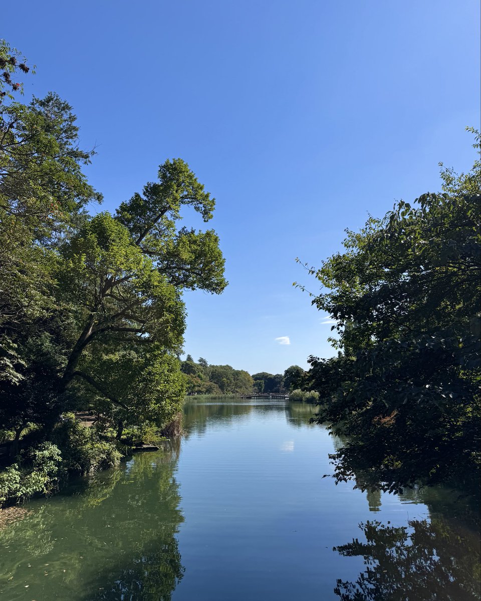 HIROMIX0324's tweet photo. 朝から井の頭公園とスタジオを往復する1日。

吉祥寺は東京に出てきて一番最初に住んだ街で、今も何かと縁があります。

秋晴れの余韻が残る気持ちのいい空気に、日が暮れても何となく帰る気になれずベンチからベンチへと渡り歩く。。 https://t.co/GwopmP6U3b