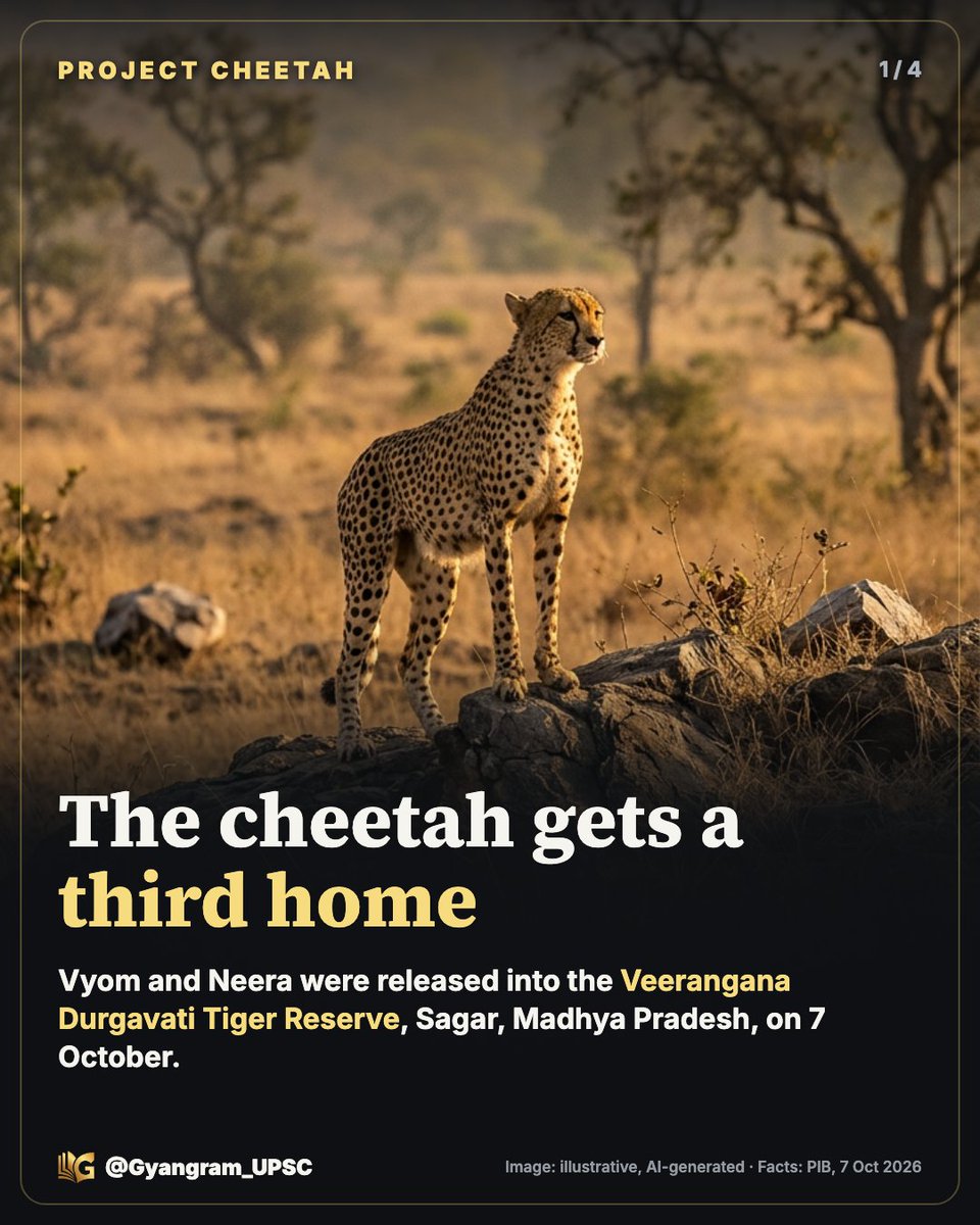 GyanGram_UPSC's tweet photo. India's cheetahs just got a third home. 🐆

Vyom and Neera were released into the Veerangana Durgavati Tiger Reserve in Sagar, Madhya Pradesh. All three cheetah sites are now in MP.

Why spread them out? One disease or drought could wipe out a single group. 🧵👇