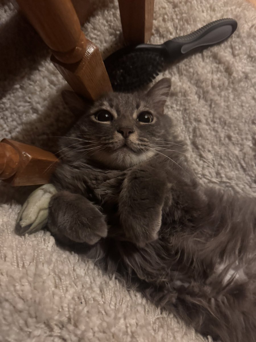 jadenater's tweet photo. i love my weird little guy https://t.co/vXKnrEXKDT