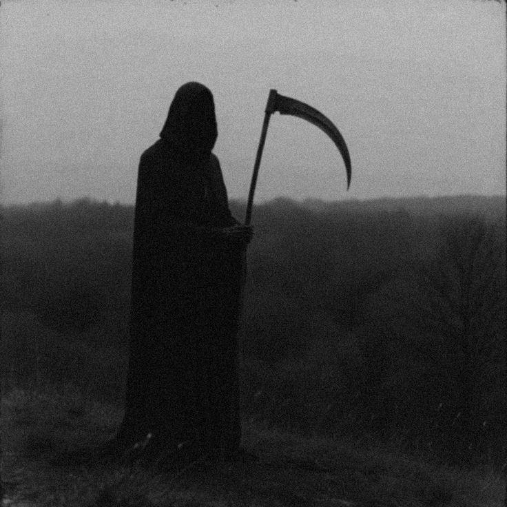 reaperdotfun's tweet photo. the trenches don't need another recycled meta.

they need actual innovation.

volume generates revenue, yet almost none of it goes toward sustaining the ecosystem.

$REAPER changes the approach.

automated fee routing. buybacks. burns. locked liquidity.

THE INFRASTRUCTURE IS THE NARRATIVE.