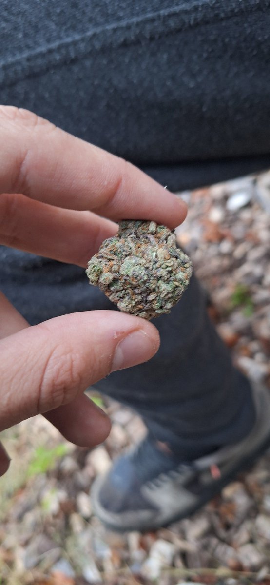 emmaisacooki's tweet photo. Not a stoner but holy fuck this was amazing https://t.co/XVKBgKwVwu
