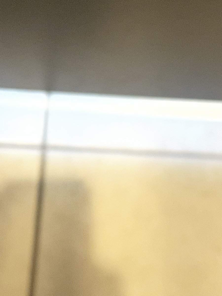 bodyfeeIing's tweet photo. when ur skipping class 👀 👀 https://t.co/f5YVHb7qWV